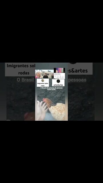 Probido pra crianças/ PALAVRÃO/IMIGRANTES SOBRE RODAS e artes & artes/Vocês são desprezíveis!