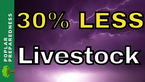 Aluminum Shortage & Government Orders Farms to Cut Livestock BY 30%