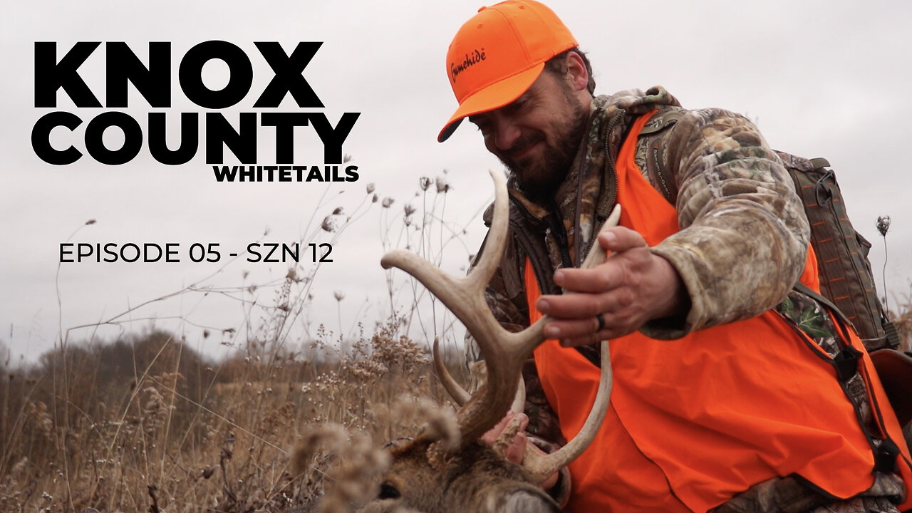 KNOX County WHITETAILS!!