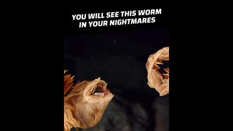 Antarctic Scale Worms Are the Stuff of Nightmares