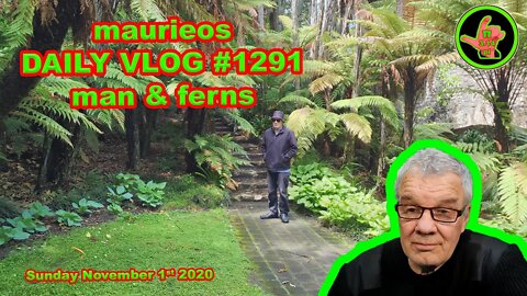 maurieos DAILY VLOG #1291 man & ferns