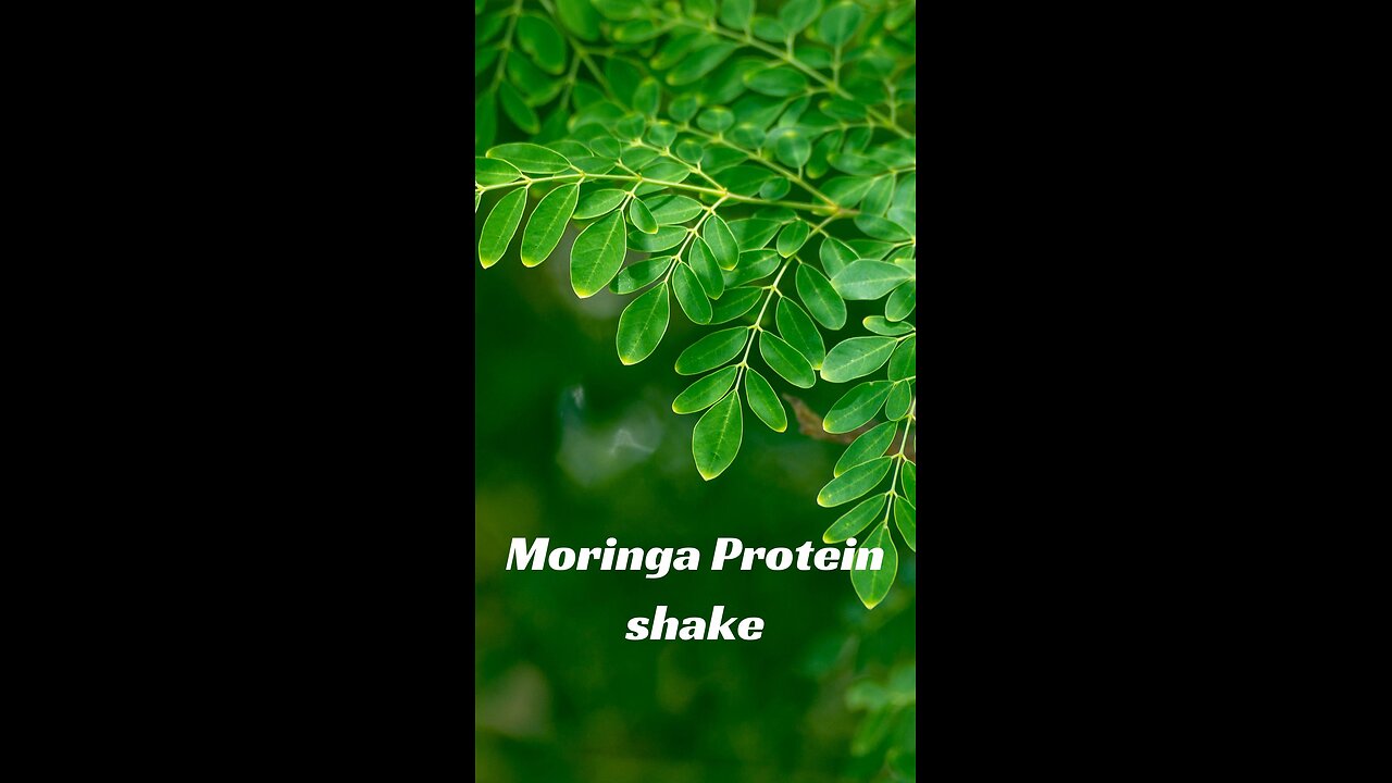 Moringa Protein Shake