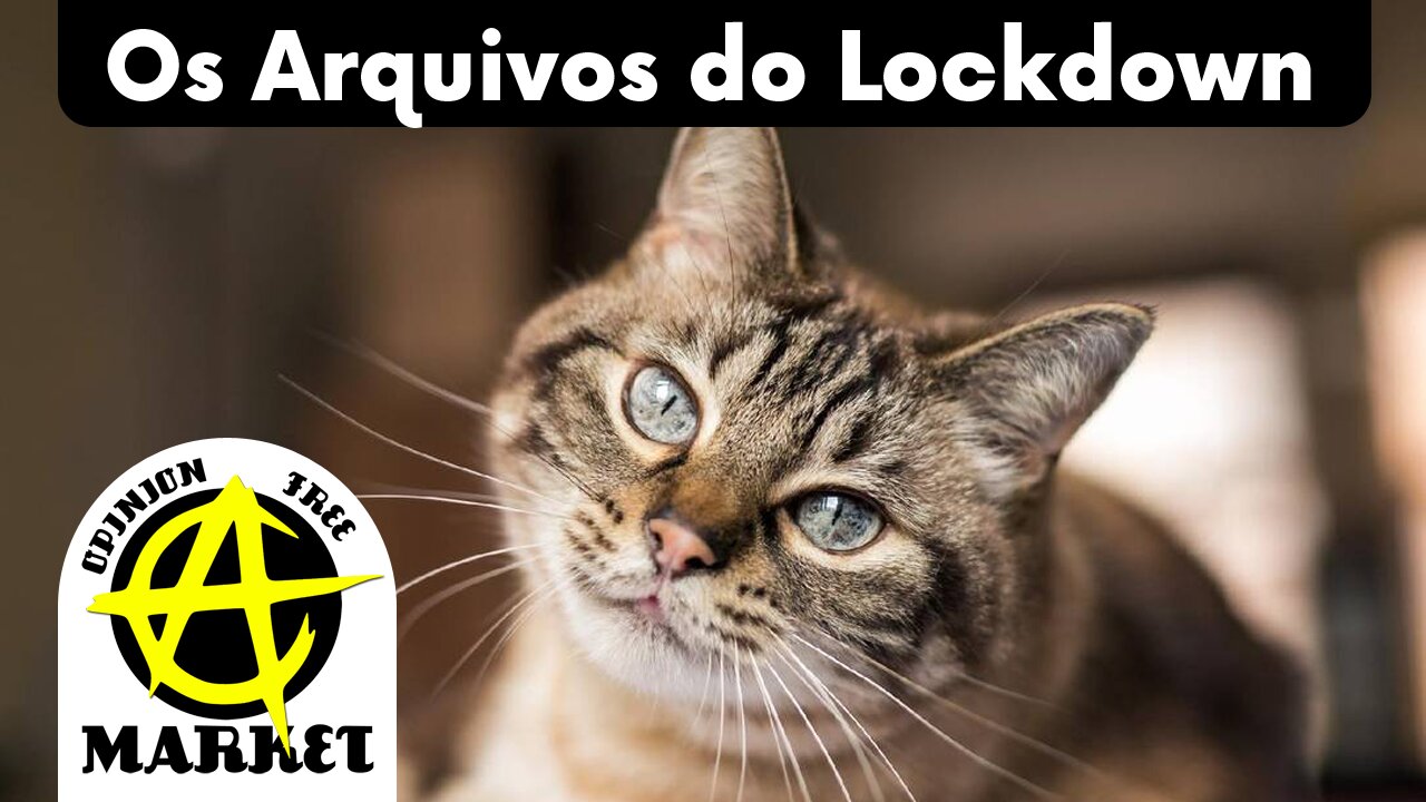 OS ARQUIVOS do LOCKDOWN revelam que EQUIPE PENSOU em EXTERMINAR TODOS OS GATOS da INGLATERRA