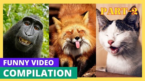 Funny Animal Compilation [Part-2]