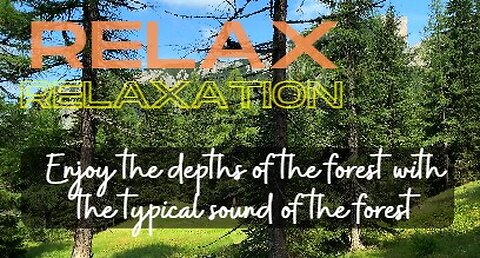 Relax & Relaxation : Enjoy the depths of the forest