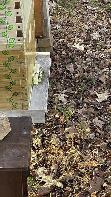 December 22nd Pollen