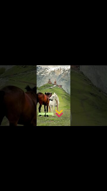 Brain Massage in the Cosmos: 40-Second Celestial Journey