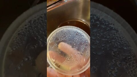 MUST SLOW DOWN VIDEO