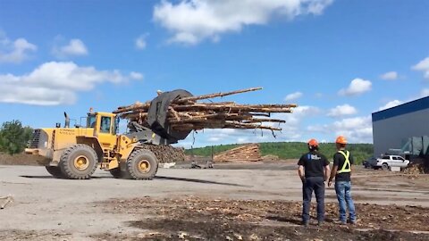 Produits forestiers D.G. publireportage