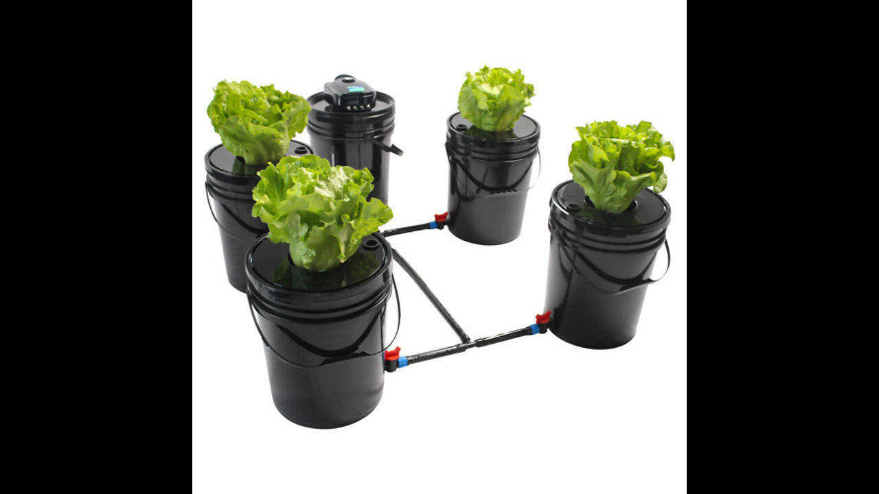 VEVOR DWC Hydroponic System, 5 Gallon 4 Buckets, Deep Water Culture Growing Bucket, Hydroponics...