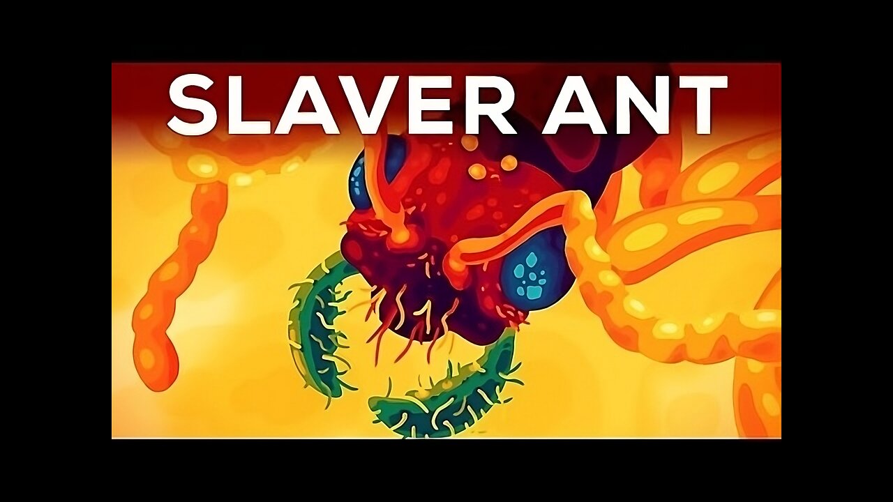 Episode 05 : The Horror of the Slaver Ant