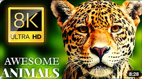 AWESOME ANIMALS 8K ULTRA HD