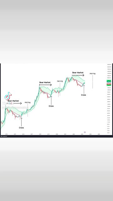 #Bitcoin Bear/Bull Source code identified🚨
