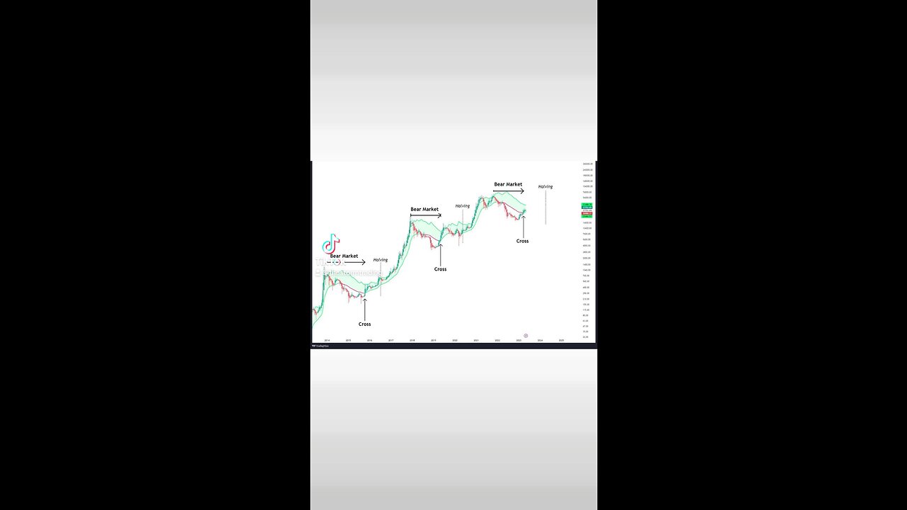 #Bitcoin Bear/Bull Source code identified🚨