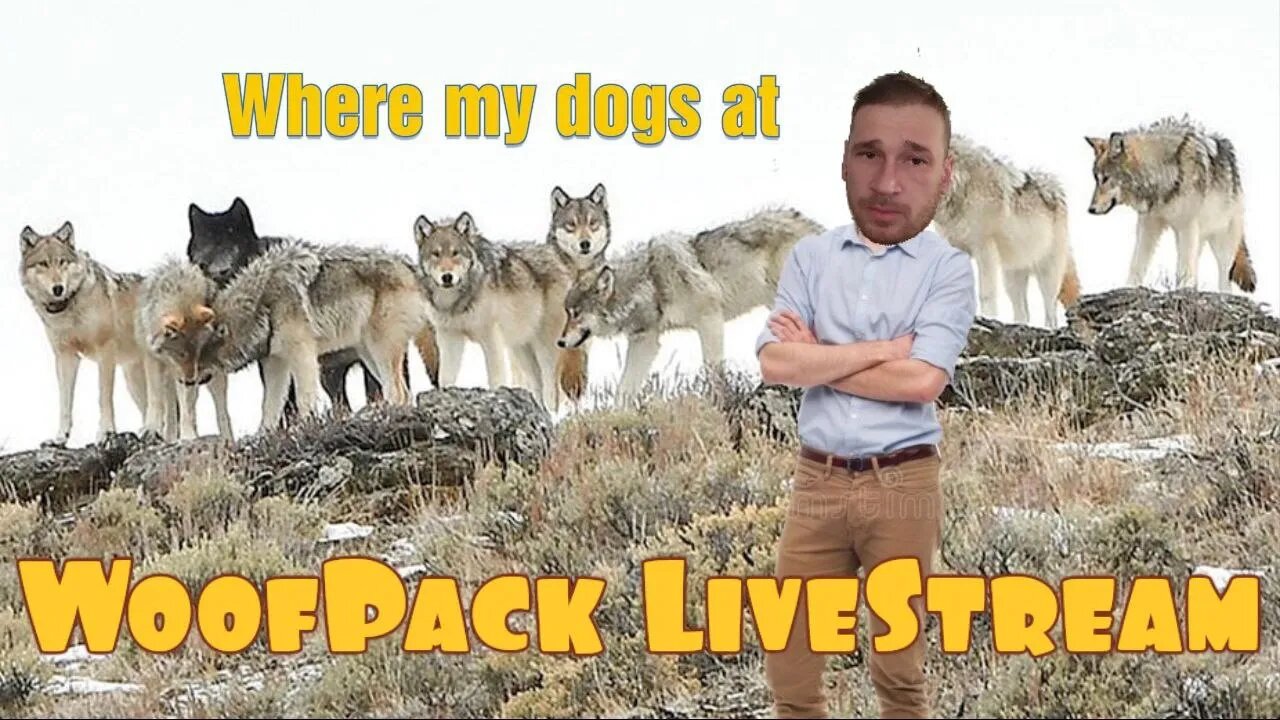 Woof Pack Very First live-Stream!