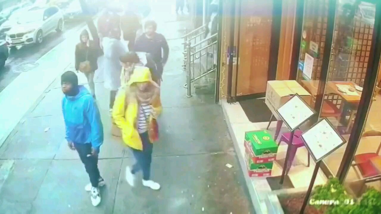 diversity white Replacement Biden America