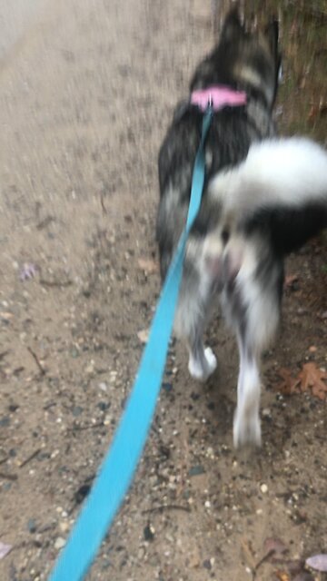 Tuesday Nov 5 Election Day, The Lord’s Prayer 🙏