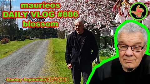 maurieos DAILY VLOG #886 blossom