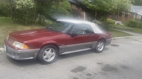 Mustang corba 1989-90 menses to society