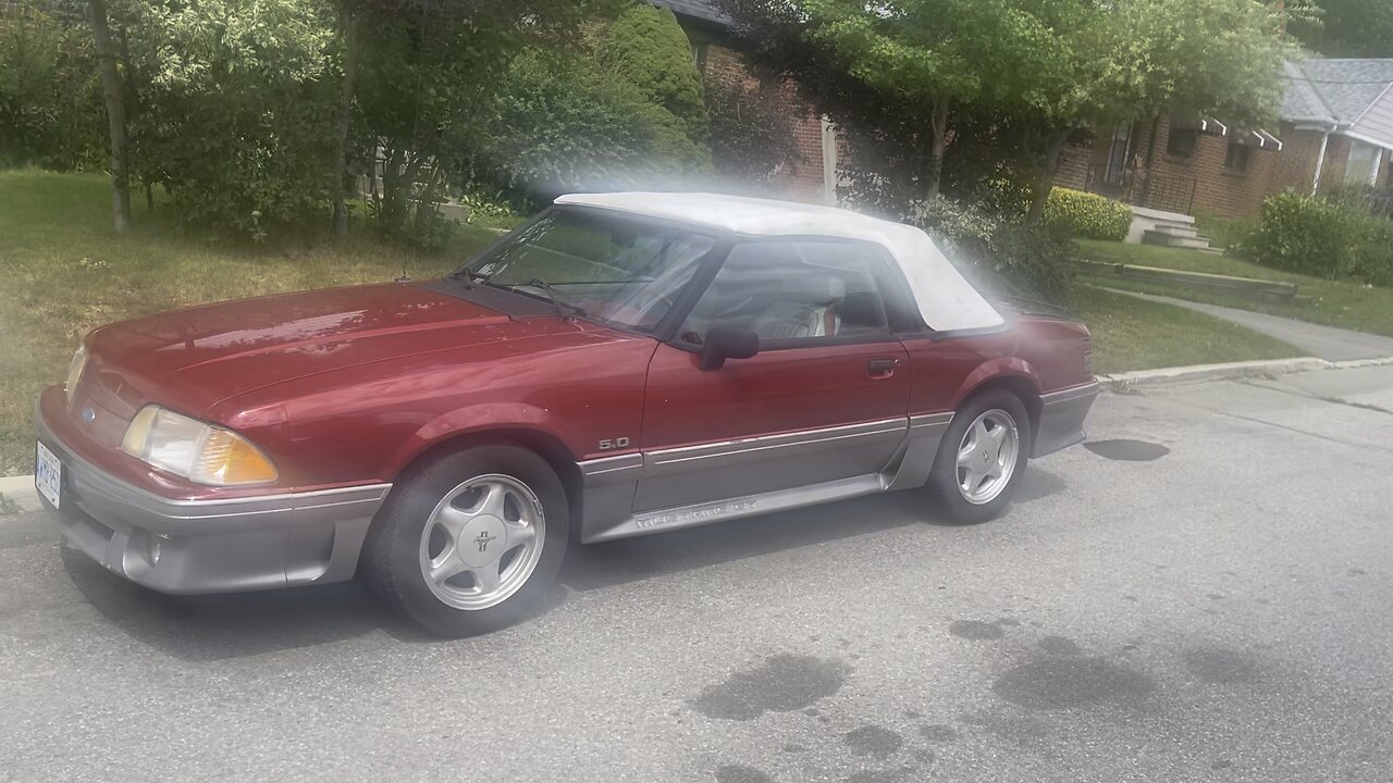 Mustang corba 1989-90 menses to society