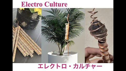 Revival of Electro Culture ／ エレクトロ・カルチャーの復活