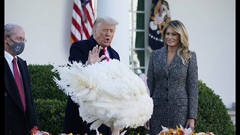 Axios Tries to Cancel Thanksgiving, and the Ratio Is Unbelievable