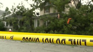 3 Lakewood families displaced after huge tree fell into their homes