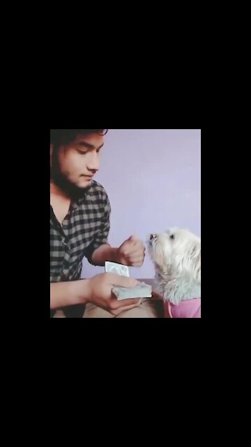 Another Easy Way to Make Money🤣🤣🤣