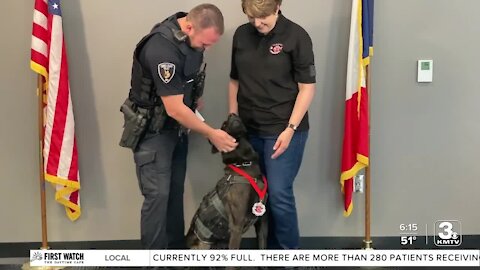 Injured K-9 Officer Rudy awarded medal of valor in Council Bluffs: 'Having him here is a blessing'