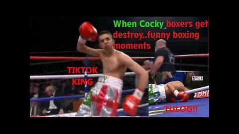 Best Funny Moments In boxing and knockouts