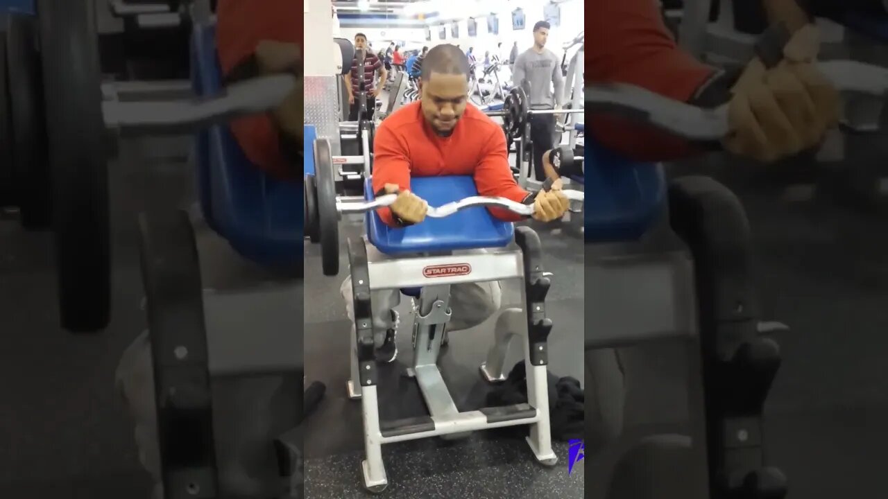 Bicep Curls with Preacher Curl Bar