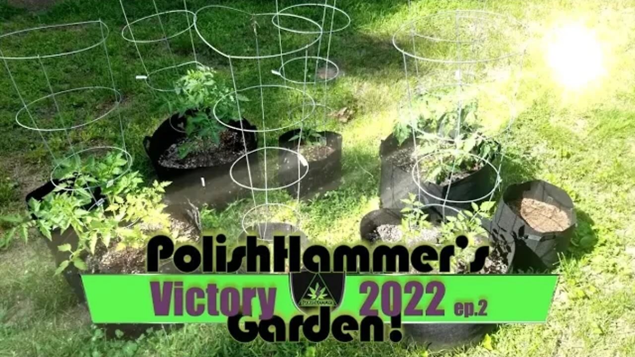 Victory Garden ep 2