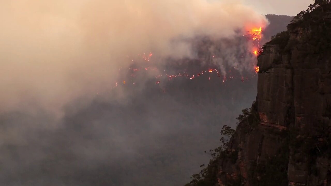 Tracking Carbon from Wildfires to Ocean Blooms