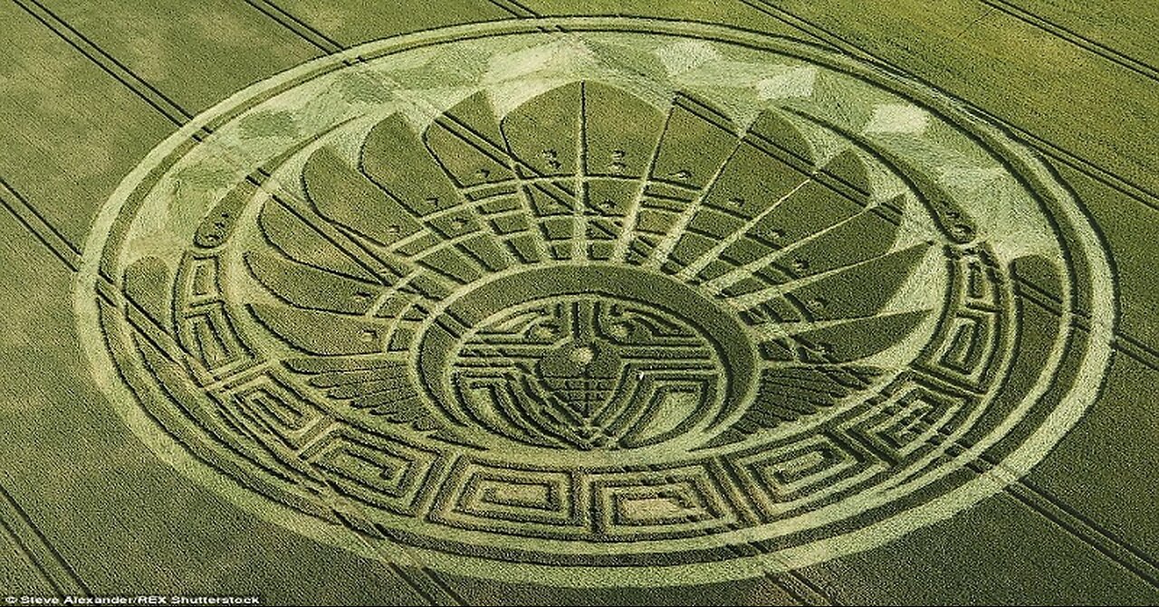 What are Crop Circles and What are they Telling us?