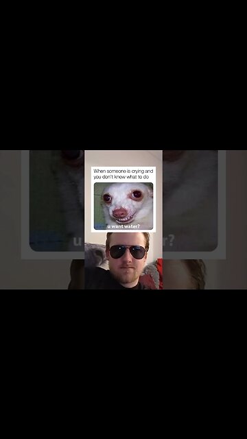 Your daily dose of memes