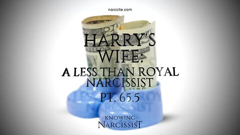 Harry´s Wife : Part 65.5 - Play the Race Card (Again)