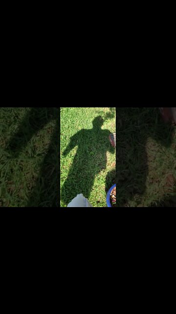 Precinct 4 loves the bayou behind my house