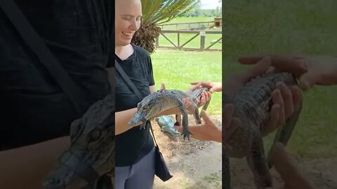 Cold-blooded Friend