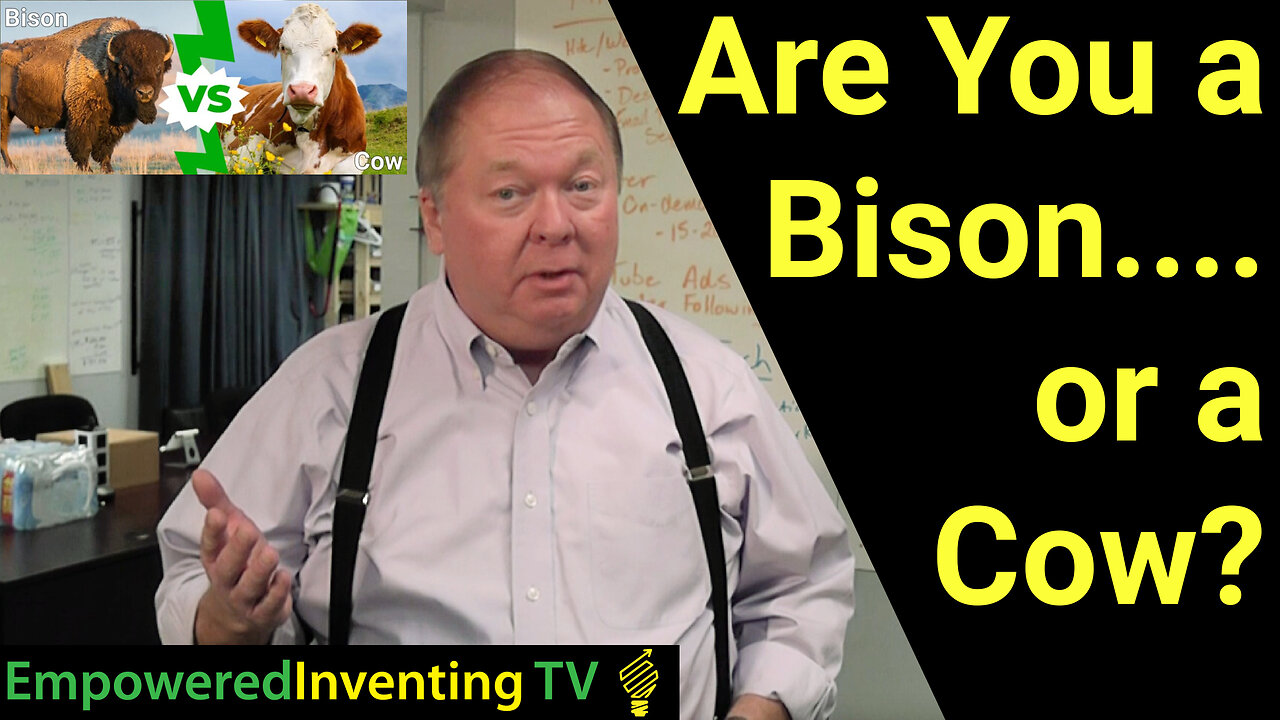 Are You a Bison….or a Cow?