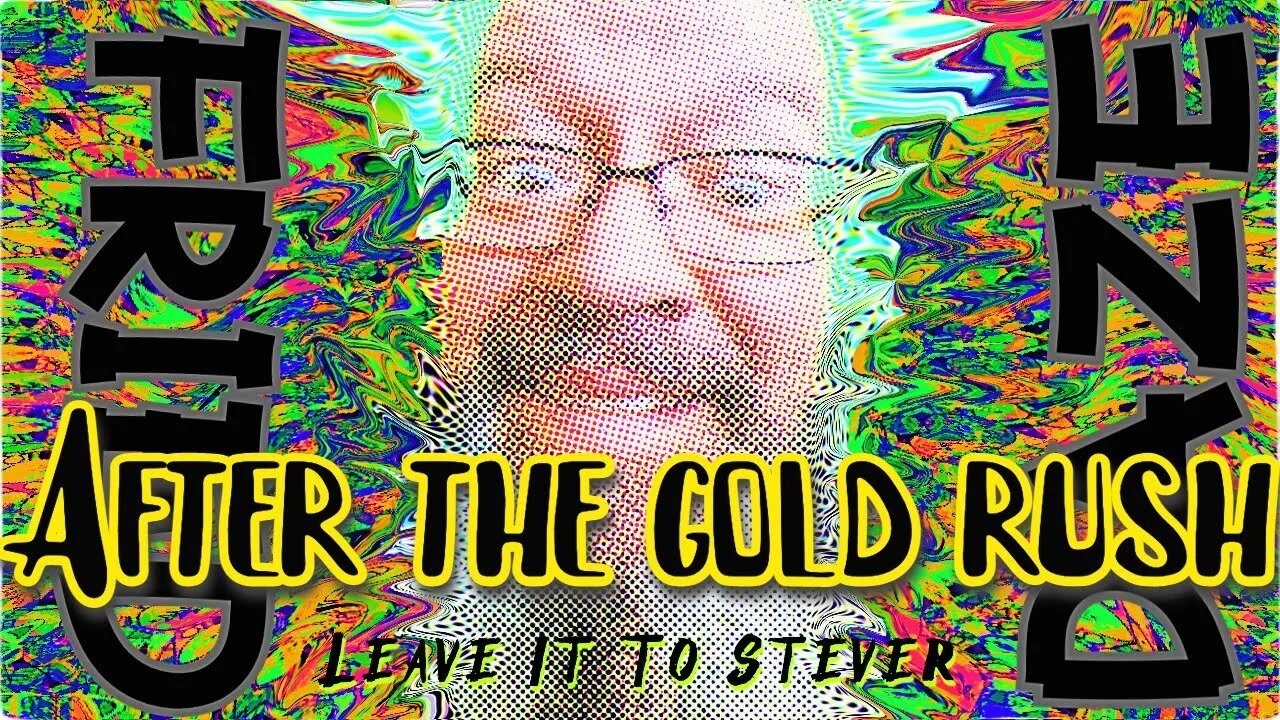 After the Gold Rush a Cover by Steve Cutler live