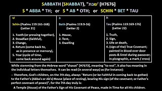 Jeff Dowell - 222 A Man Was Stoned to Death for Picking Up Sticks On the Sabbath Numbers 15-35