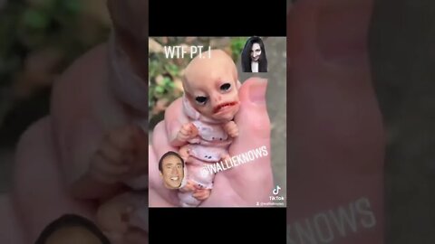 WTF part 1