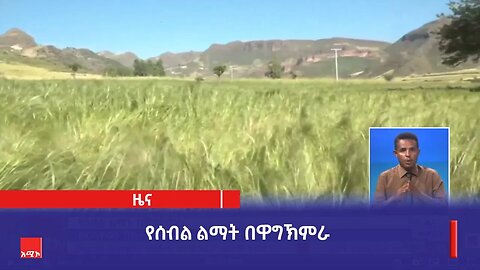የሰብል ልማት በዋግኽምራ