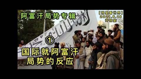 KWT2302(1)国际就阿富汗局势的反应-阿富汗局势专辑20210819-6【悟里看世界】