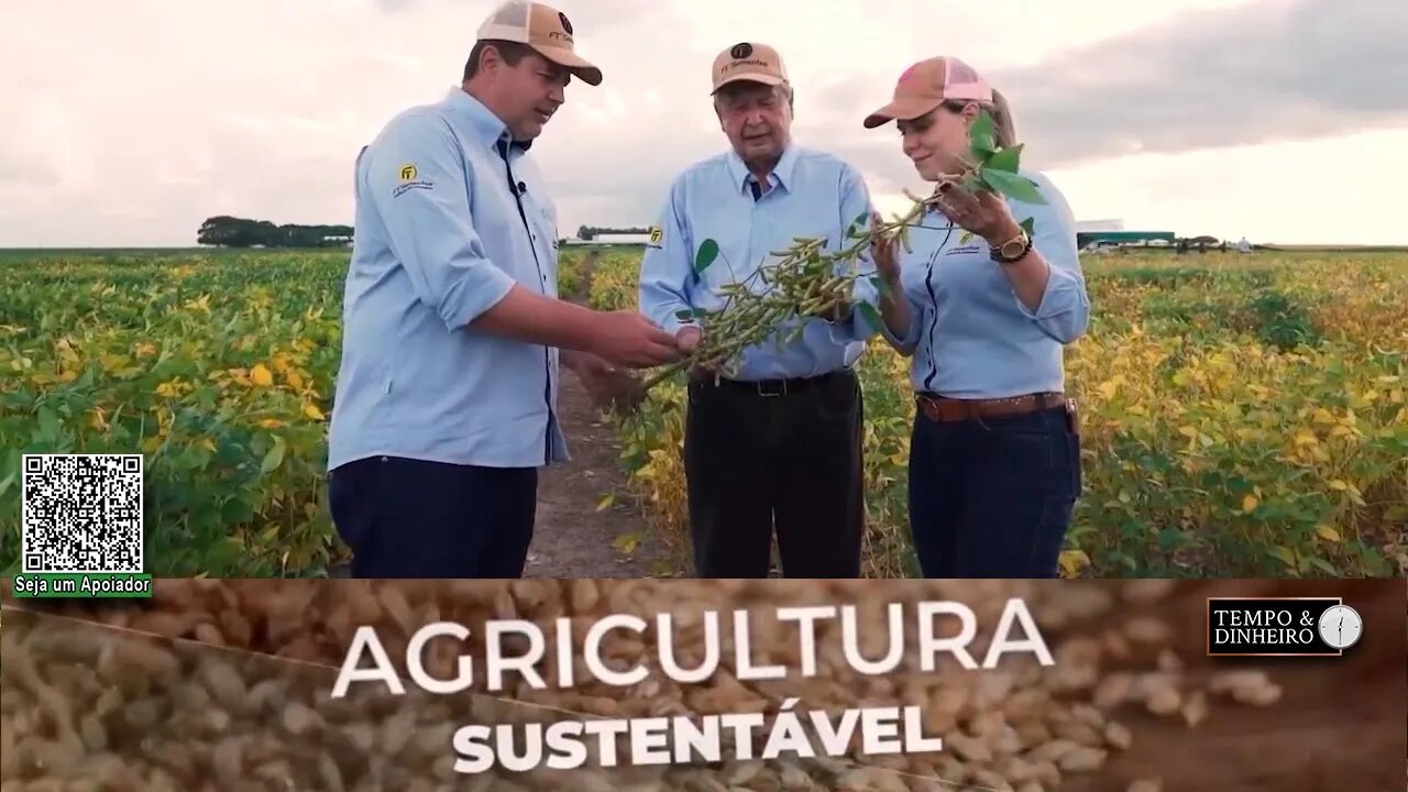 No Piauí a FT Sementes está pesquisando suas novas cultivares de soja para o NE brasileiro