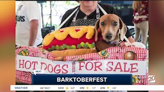 Barktoberfest returning to Royal Oak this weekend