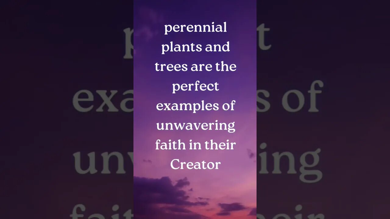 🌱have unwavering faith in the creator,then what about human?#godquote #god #morning #morningquotes