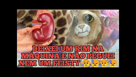 DEIXEI UM RIM NA MÁQUINA E NÃO PEGUEI NEM O FEISTY LEÃO 🦁 E NEM O FEISTY POLAR 😓😥😓