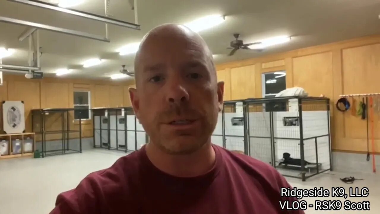 Dog Trainer VLOG. Dog Training Reality