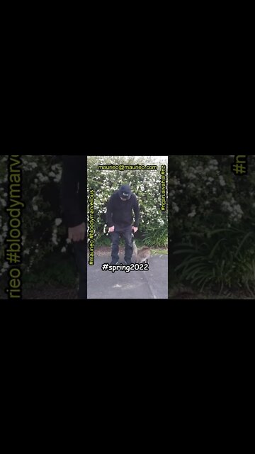 #maurieo #shorts SPRING 2022